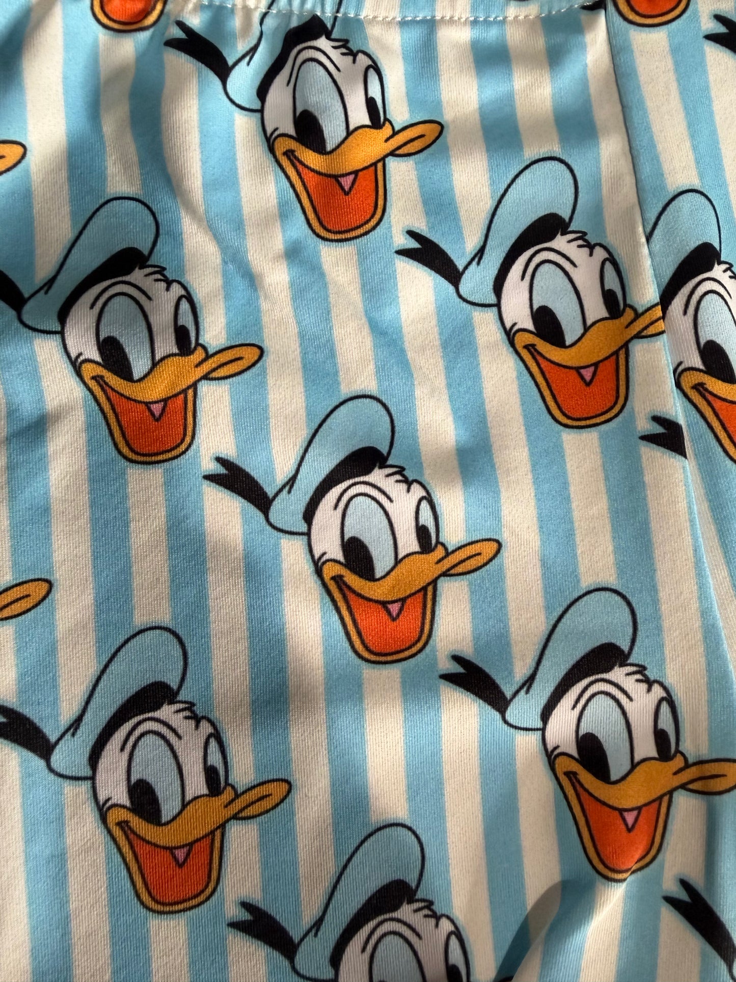 Blue Striped Mesh Duck Dress